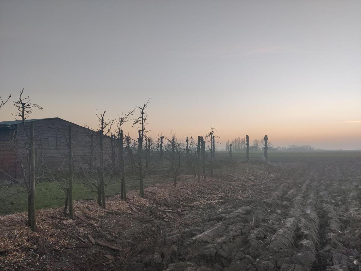 Vakantiehuis De Maretak Vlakbij Brugge & De Kust Meetkerke 外观 照片